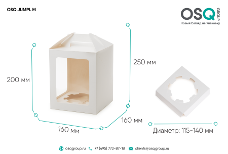 Коробка для пряничного домика 160х160х200 белая
